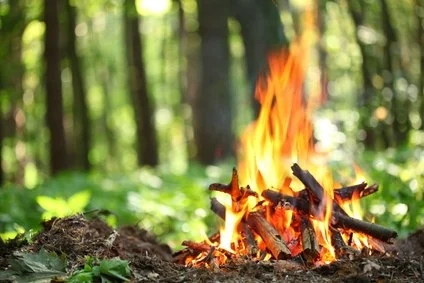 How to Build a Campfire With Natural Materials: A Practical Outdoor Guide
