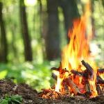 How to Build a Campfire With Natural Materials: A Practical Outdoor Guide
