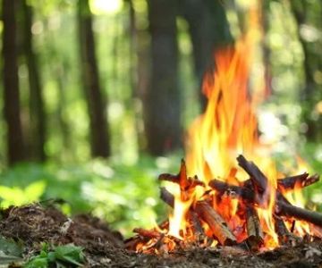 How to Build a Campfire With Natural Materials: A Practical Outdoor Guide