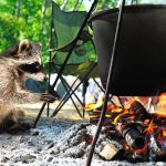 How to Use Campfire Smoke to Keep Bears Away: A Survival Guide