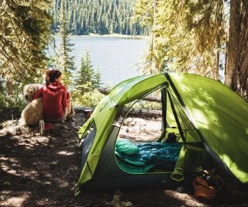 How to Set Up a Campsite for Privacy: Expert Tips for Peaceful Camping