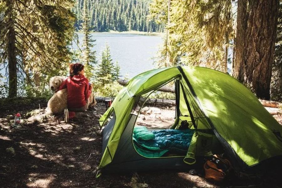 How to Set Up a Campsite for Privacy: Expert Tips for Peaceful Camping