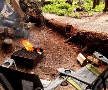 How to Use Campfire Smoke to Protect Against Mosquitoes and Flies