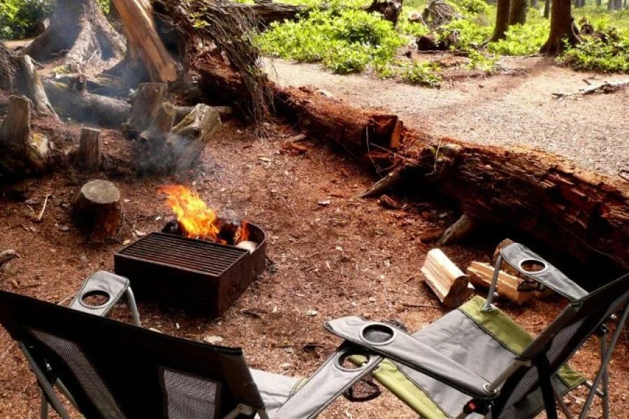 How to Use Campfire Smoke to Protect Against Mosquitoes and Flies