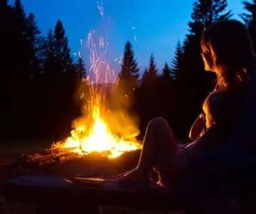 The Best Firewood Types for Campfires and How to Use Them Right