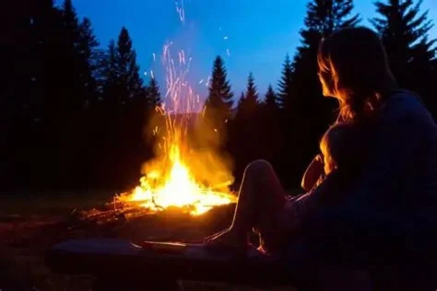 The Best Firewood Types for Campfires and How to Use Them Right