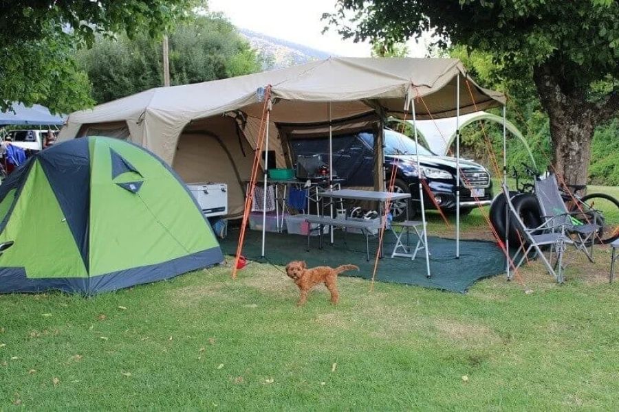 How to Set Up a Campsite for Group Camping