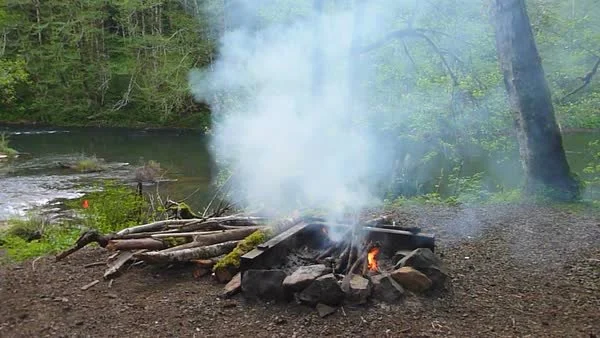 How to Use Campfire Smoke to Keep Rodents Away: A Natural Solution