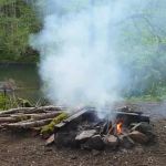 How to Use Campfire Smoke to Keep Rodents Away: A Natural Solution