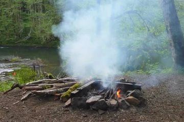 How to Use Campfire Smoke to Keep Rodents Away: A Natural Solution