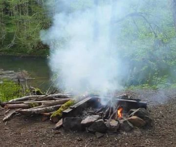How to Use Campfire Smoke to Keep Rodents Away: A Natural Solution