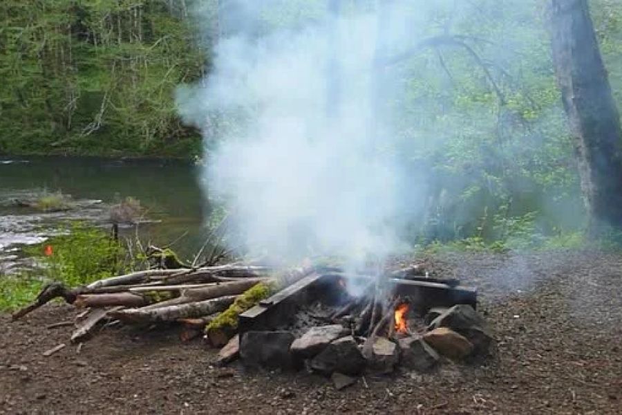 How to Use Campfire Smoke to Keep Rodents Away: A Natural Solution