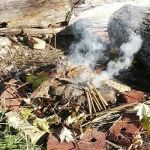 How to Use Campfire Smoke to Deter Wildlife Safely