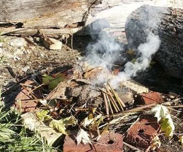 How to Use Campfire Smoke to Deter Wildlife Safely