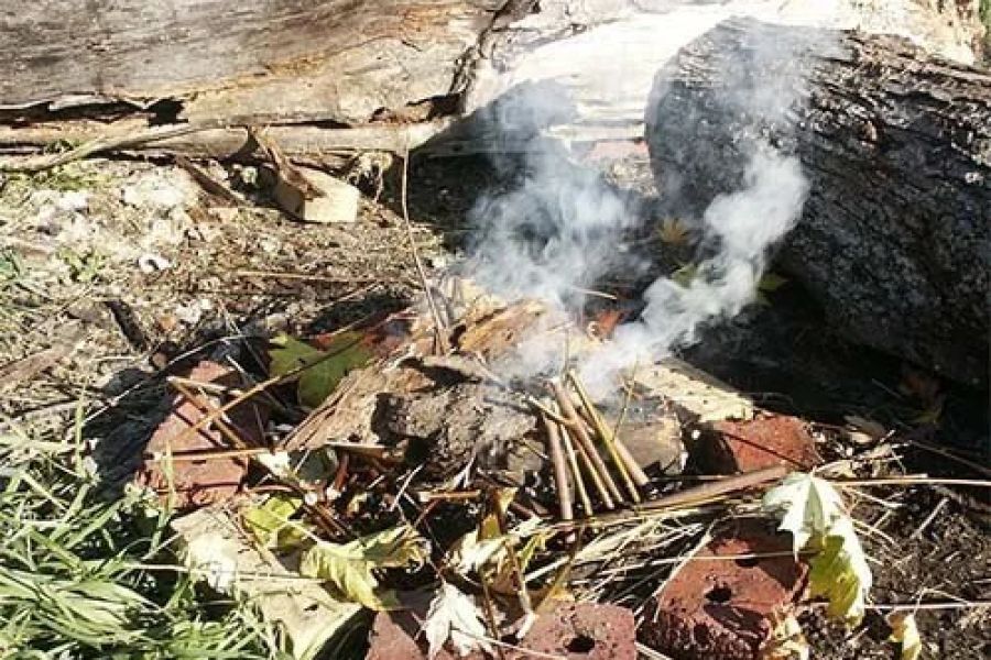 How to Use Campfire Smoke to Deter Wildlife Safely