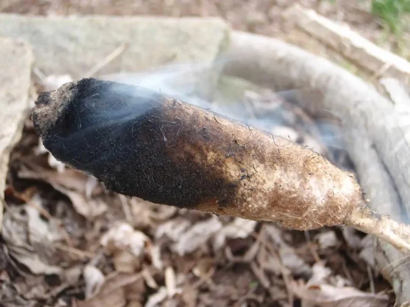 How to Use Campfire Smoke to Repel Insects Naturally