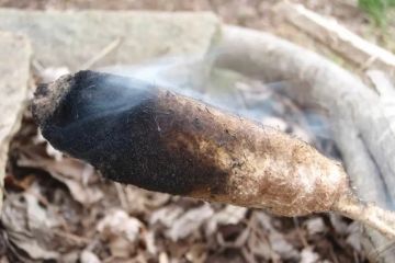 How to Use Campfire Smoke to Repel Insects Naturally