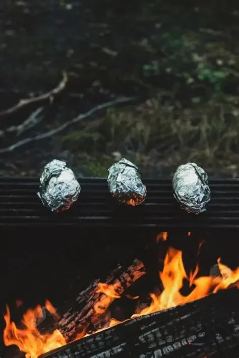 Best Campfire Snacks for Night Owls