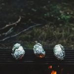 Best Campfire Snacks for Night Owls
