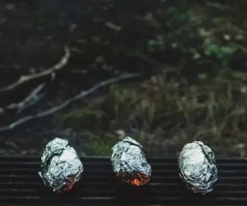 Best Campfire Snacks for Night Owls