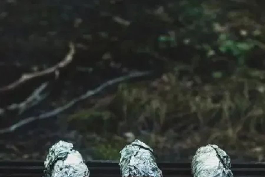 Best Campfire Snacks for Night Owls