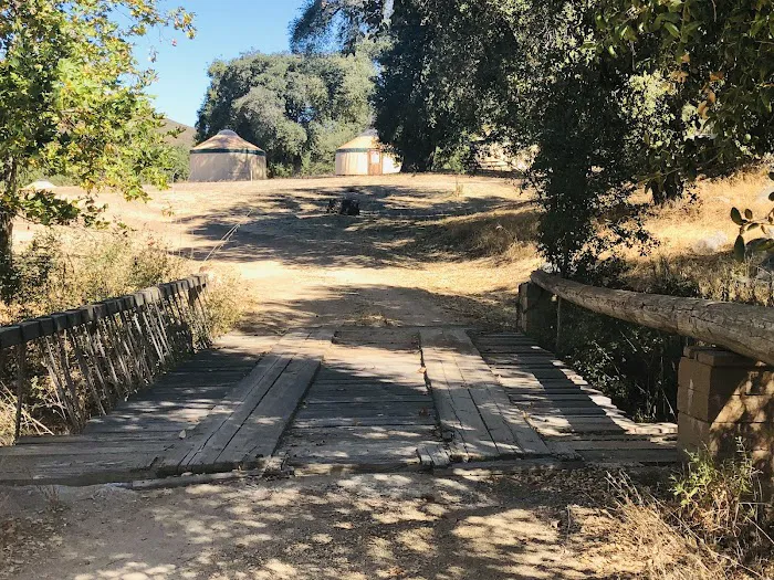 Stallion Oaks Ranch Picture 3