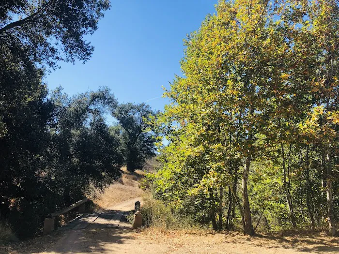 Stallion Oaks Ranch Picture 2