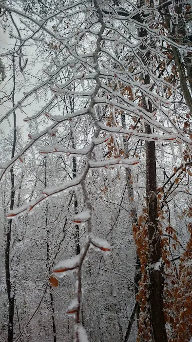 Camp Oty'Okwa Picture 2