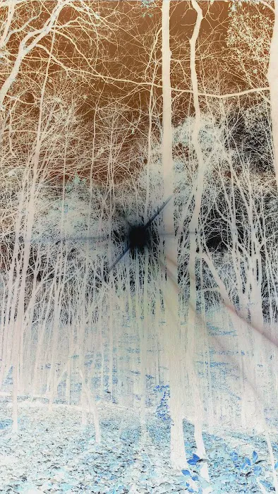 Camp Oty'Okwa Picture 4