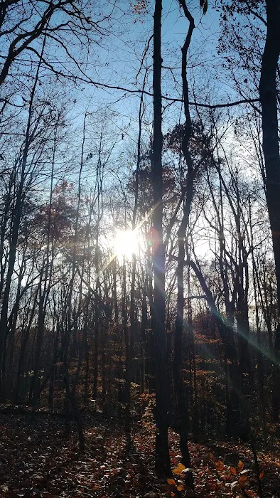 Camp Oty'Okwa Picture 3