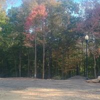 Wild Ridge Resort ico