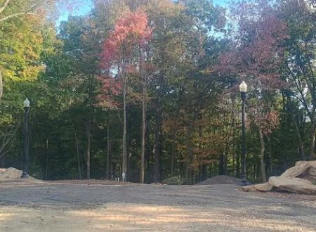 Wild Ridge Resort