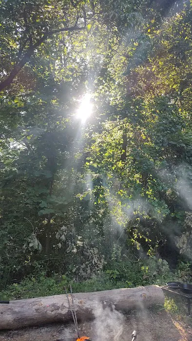 Hocking hills campground. Site #87 Picture 5