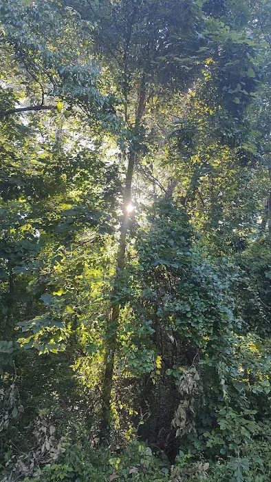 Hocking hills campground. Site #87 Picture 1
