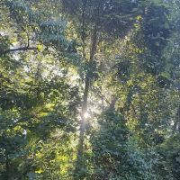 Hocking hills campground. Site #87 ico