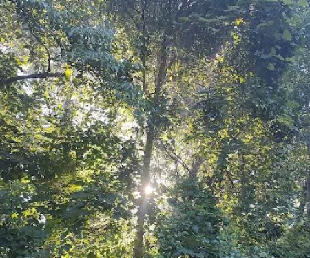 Hocking hills campground. Site #87