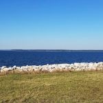 US Army Corps of Engineers