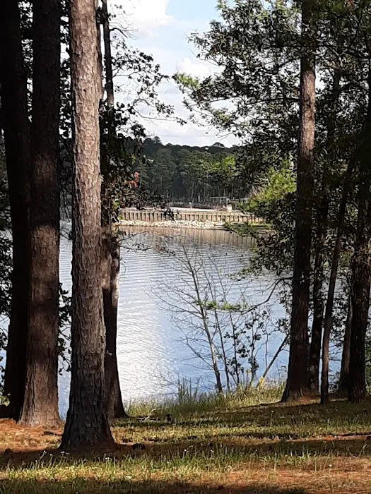 US Army Corps of Engineers Picture 4