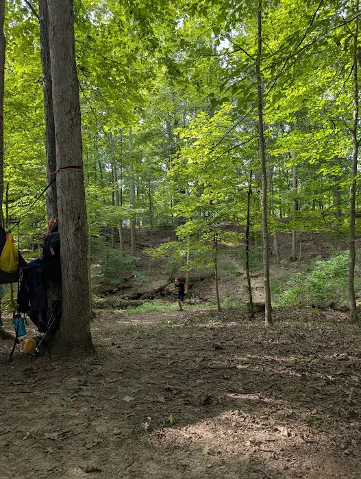 Lakeview Campsite Picture 5