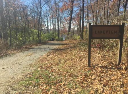 Lakeview Campsite