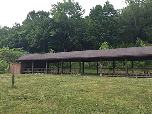 Cub World BB Gun Range 2 Picture 2