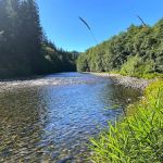 Salmon Run Hospitality LLC