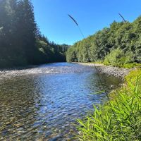 Salmon Run Hospitality LLC ico