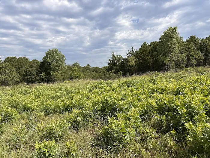 LBJ Grasslands Picture 6