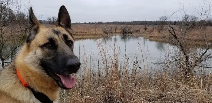 LBJ Grasslands Picture 7