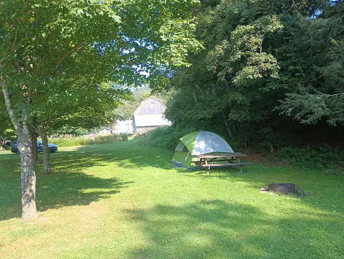 Salt Springs State Park West Meadow Camping Area Picture 1