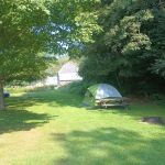 Salt Springs State Park West Meadow Camping Area