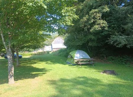 Salt Springs State Park West Meadow Camping Area