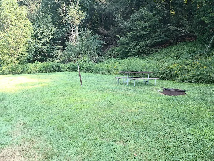 Salt Springs State Park West Meadow Camping Area Picture 3