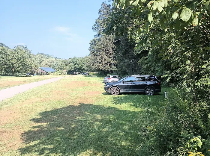 Salt Springs State Park West Meadow Camping Area Picture 2